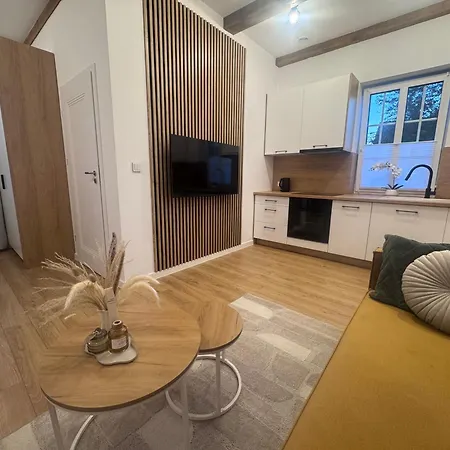 Apartment Szkolna 13 Koniecpol